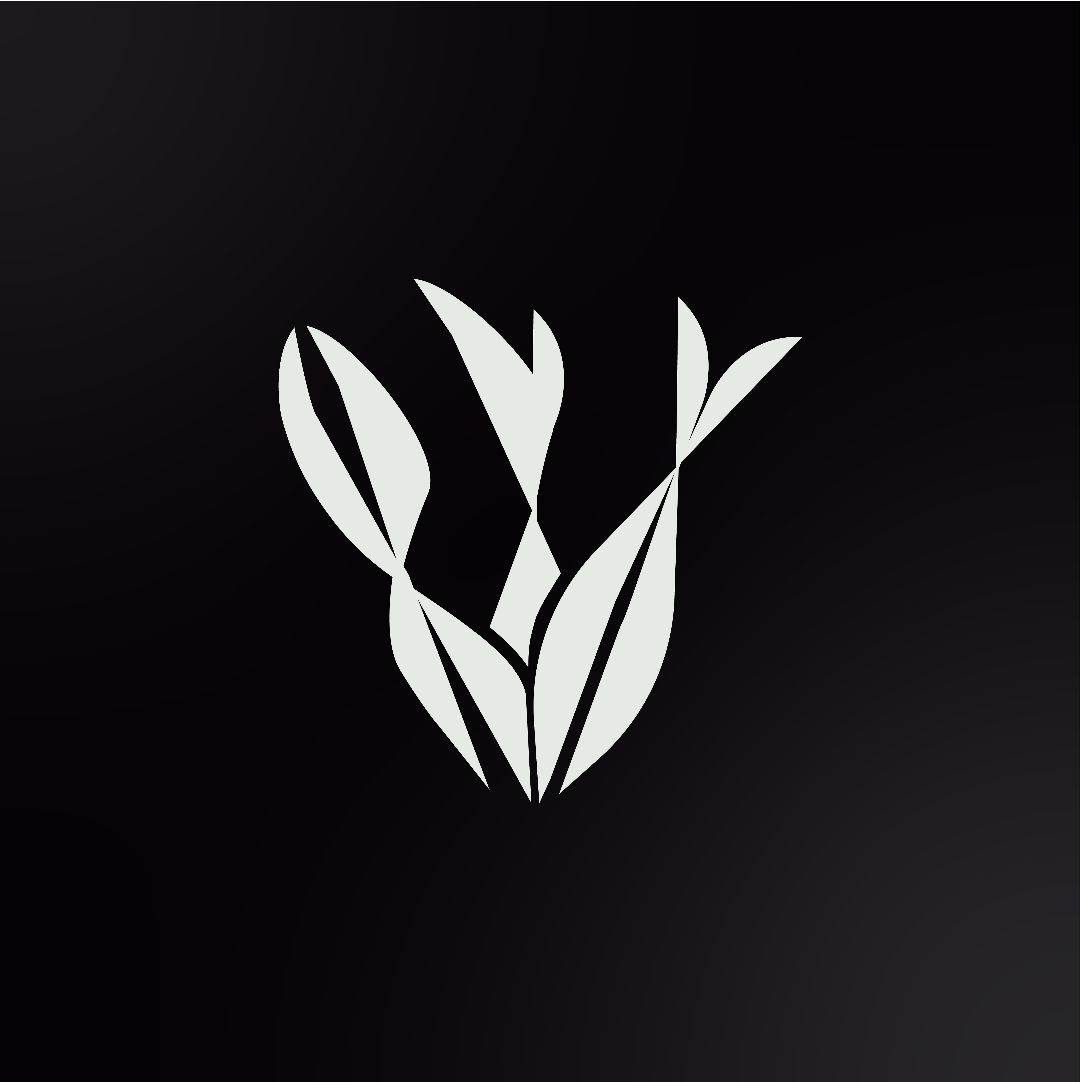 Identidade Vortix
